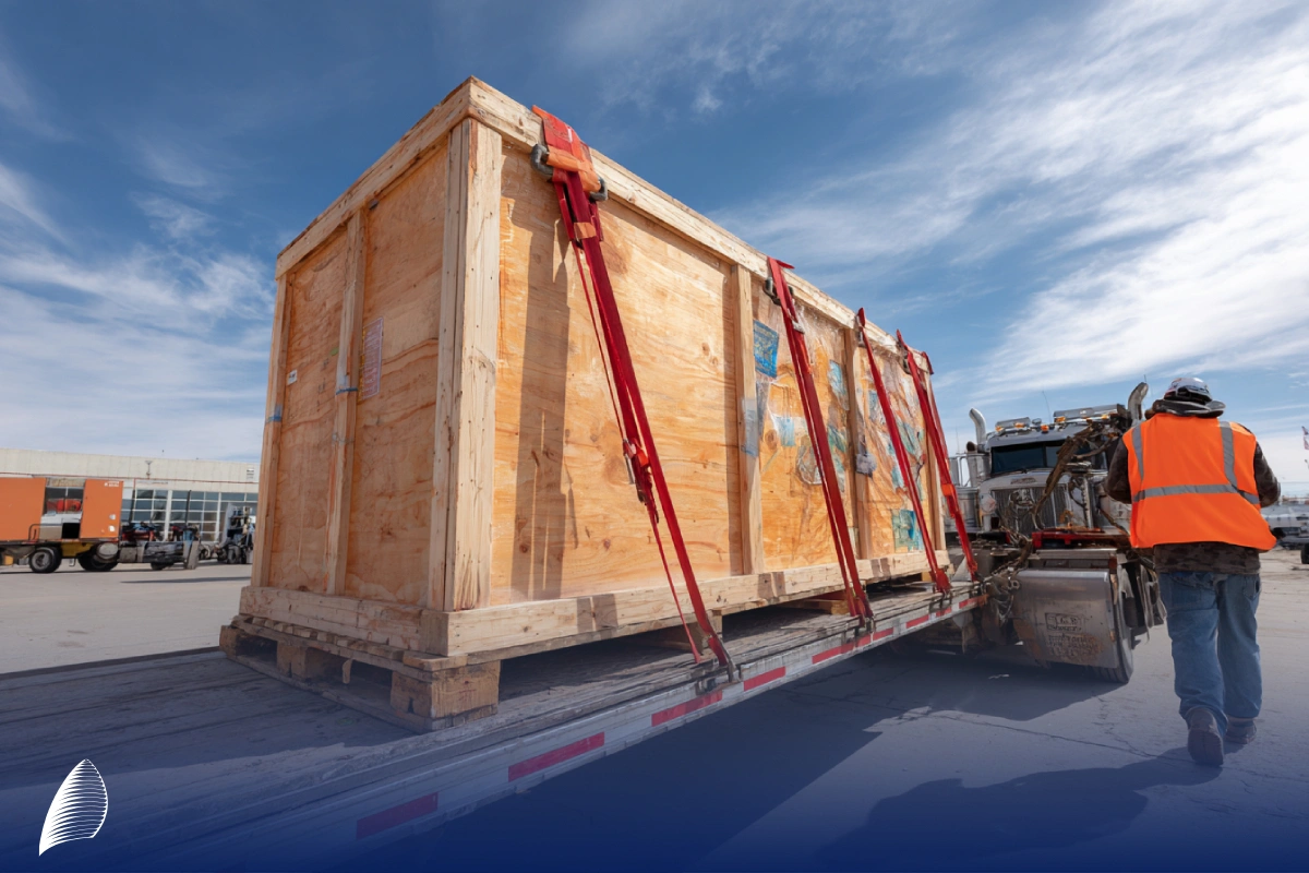 انواع مختلف واردات کالا