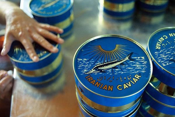 caviar-export-guide
