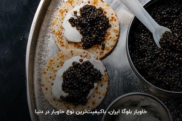 آشنایی با مراحل و قوانین صادرات خاویار از ایران به سایر کشورها