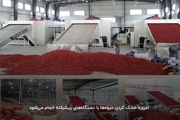 نحوه خشک کردن میوهها با دستگاههای پیشرفته