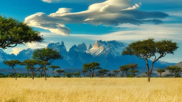 kenya