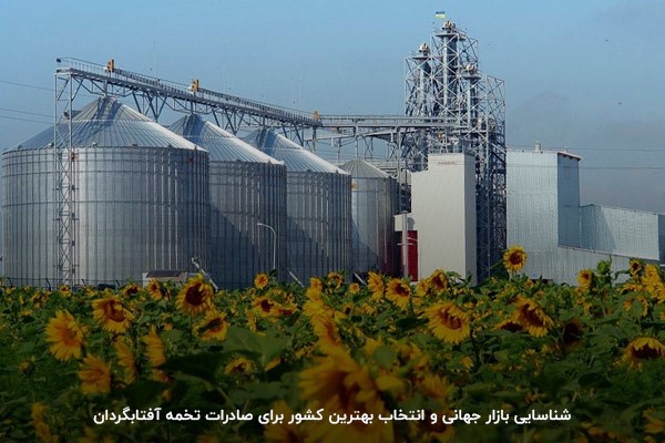بررسی آمار و ظرفیت بازار تخمه آفتابگردان در کشور‌های مختلف برای شروع بیزینس سودمند