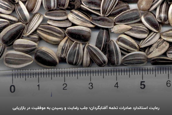 آشنایی با استانداردهای صادرات تخمه آفتاب گردان؛ اولین قدم برای موفقیت